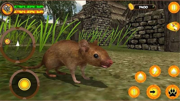 疯狂老鼠王 疯狂老鼠王