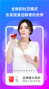 一花无界