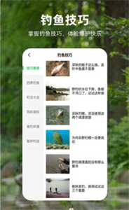 钓鱼记