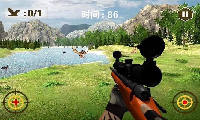 3D猫头鹰狩猎模拟