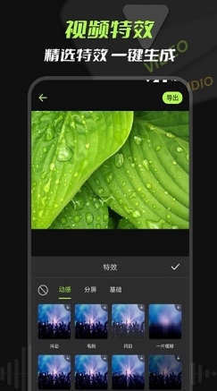 音频提取