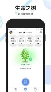 黎明脚步 黎明脚步