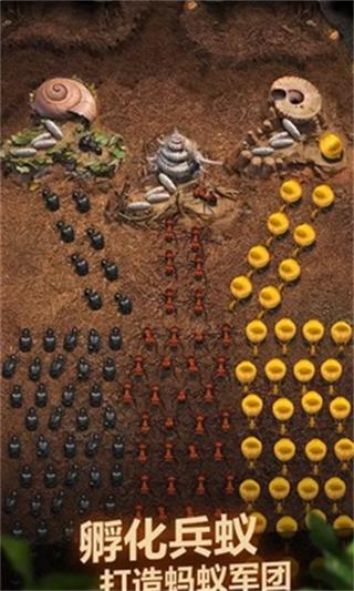 The Ants