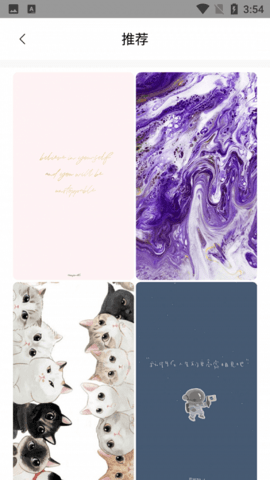 小金壁纸 小金壁纸