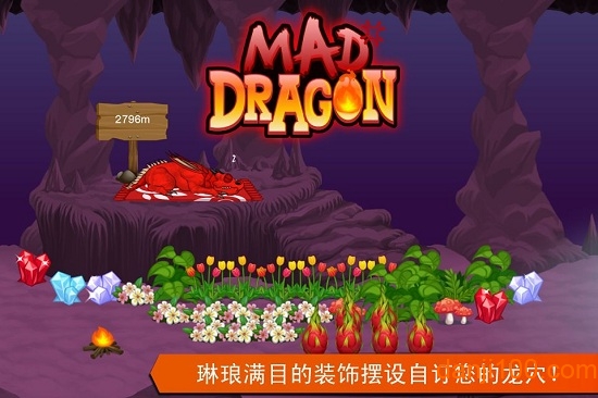 疯狂的巨龙内购破解版