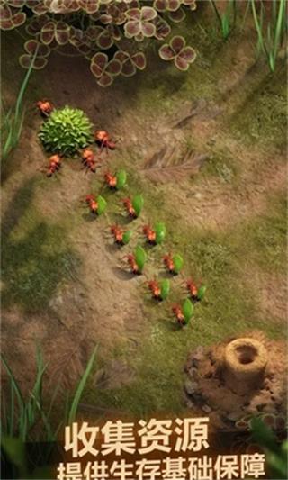 The Ants
