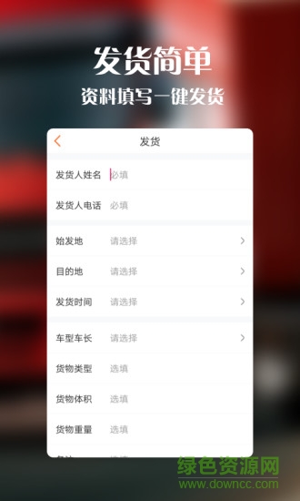 金桔