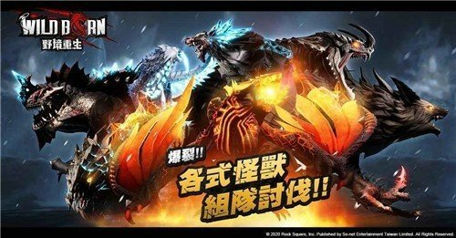 WildBorn 野境重生（台服）安装器