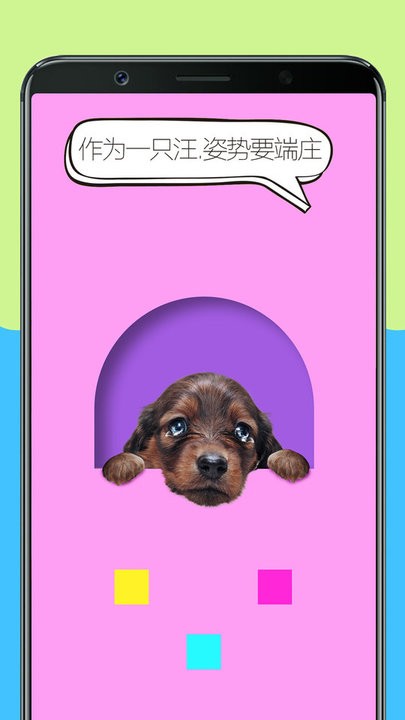 人狗训练翻译器app 人狗训练翻译器app