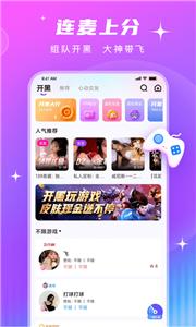 皮皮酱