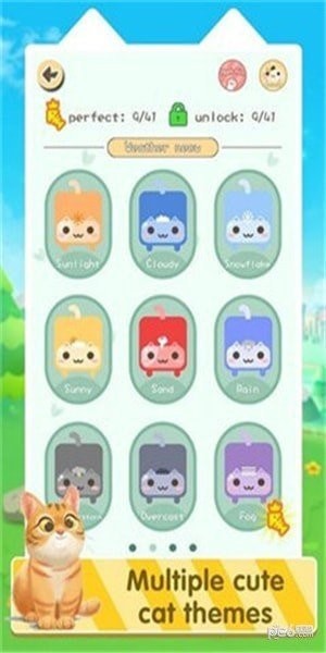 喵一条线官方版