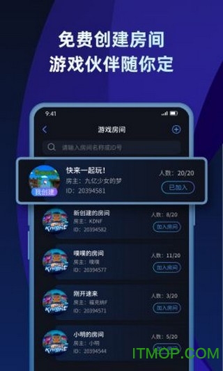 蒲公英联机平台 蒲公英联机平台