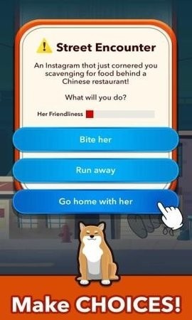 狗狗的一生app