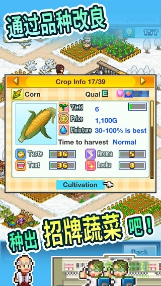 晴空农场物语无限金币研究点