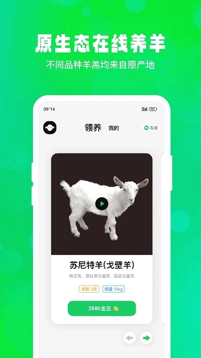 飞扣