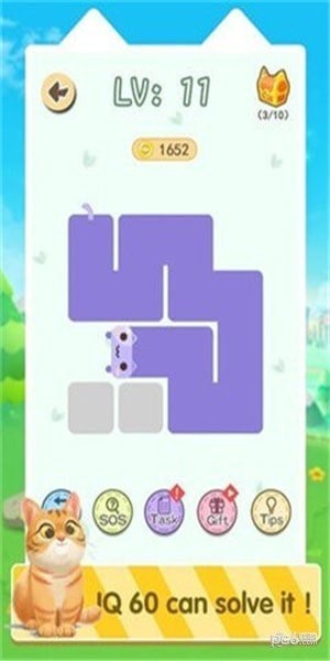 喵一条线官方版