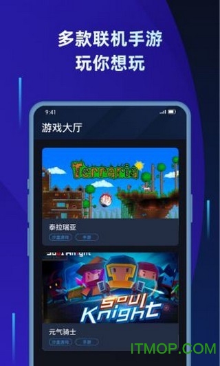 蒲公英联机平台 蒲公英联机平台