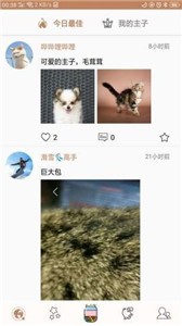 主子唠