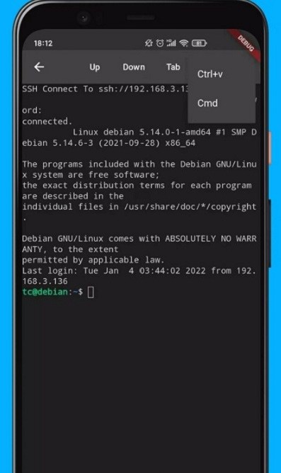 NxShell终端工具手机版