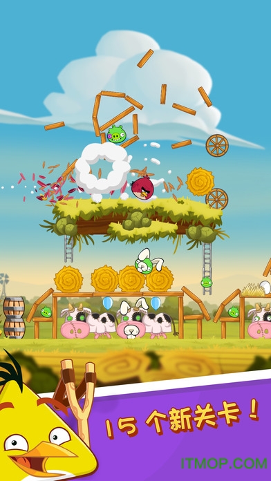 愤怒的小鸟rio 愤怒的小鸟rio