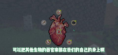 脆骨症