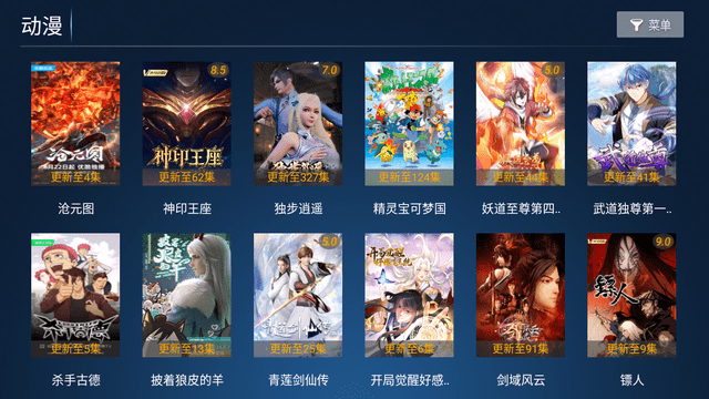华人视界