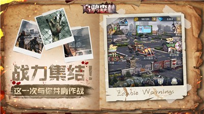 乌 鸦 森 林 官 网 版