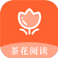 茶 花 阅 读