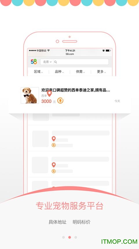 爱宠之家