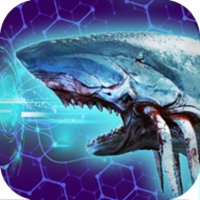 养鲲进化新物种