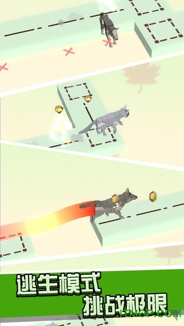 Animal Run