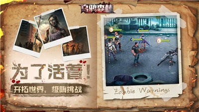 乌 鸦 森 林 官 网 版