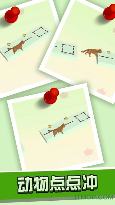 Animal Run