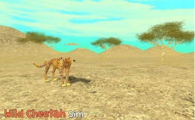 Wild Cheetah Sim