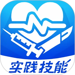 模拟实践技能