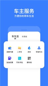 违章查询