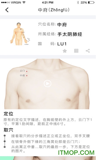 经络穴位图解 经络穴位图解