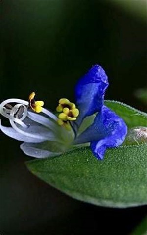 爬虫