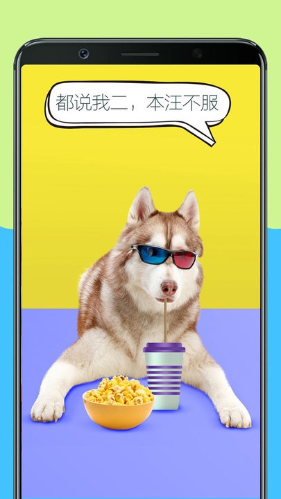 人狗训练翻译器app 人狗训练翻译器app