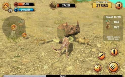 Wild Cheetah Sim