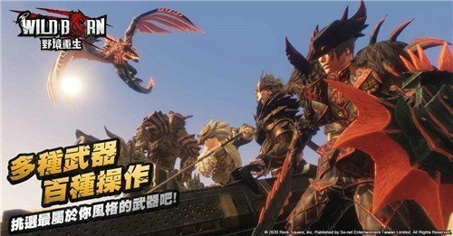 WildBorn 野境重生（台服）安装器