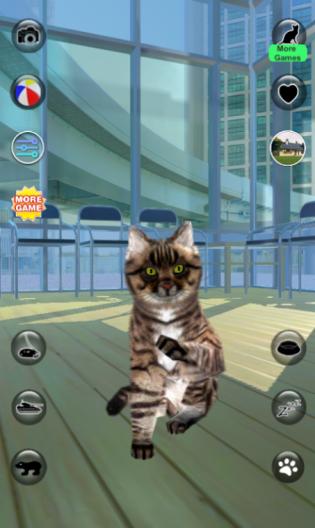 会说话的现实猫app
