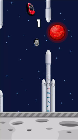 埃隆马斯克飞翔(elon musk bird)