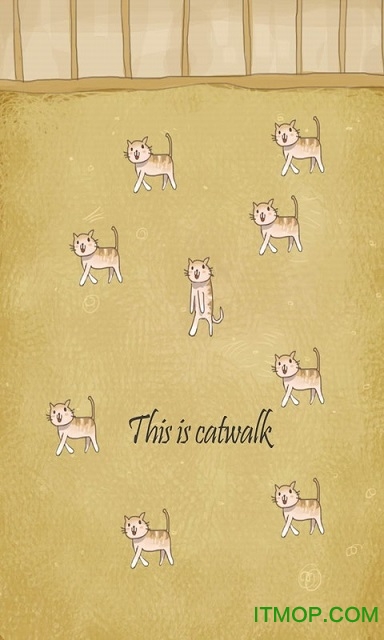 小猫进化大派对 小猫进化大派对