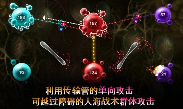 繁殖战争2免费