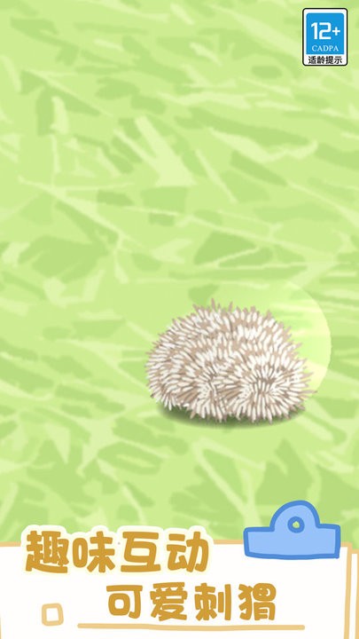 小小宠物 小小宠物