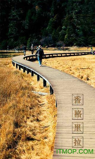 香格里拉 香格里拉