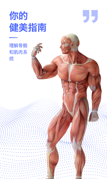 解剖学图谱