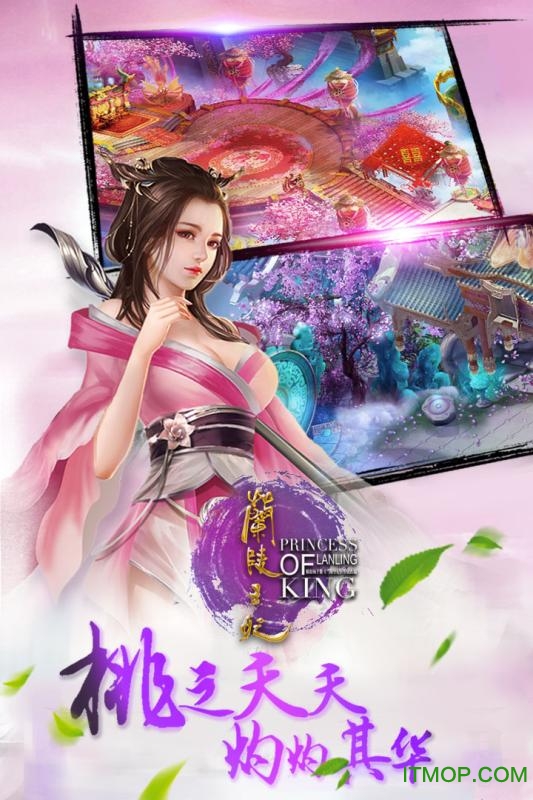兰陵王妃果盘版