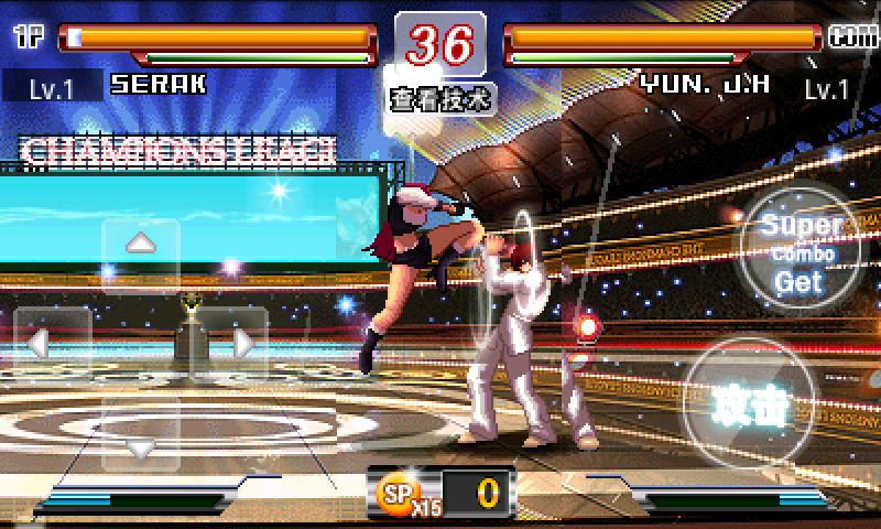 终极格斗2 终极格斗2